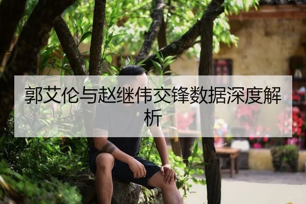 郭艾伦与赵继伟交锋数据深度解析