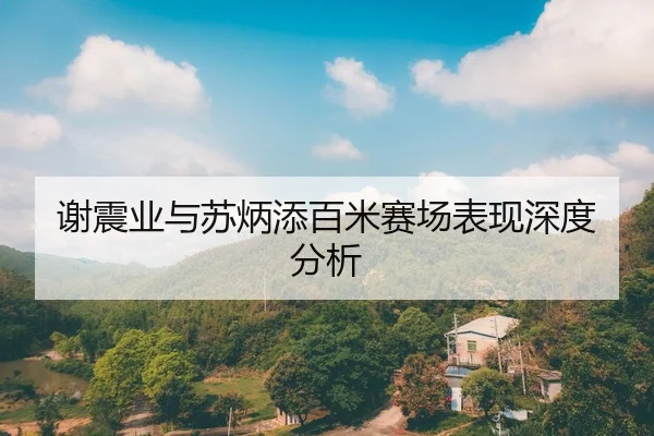 谢震业与苏炳添百米赛场表现深度分析